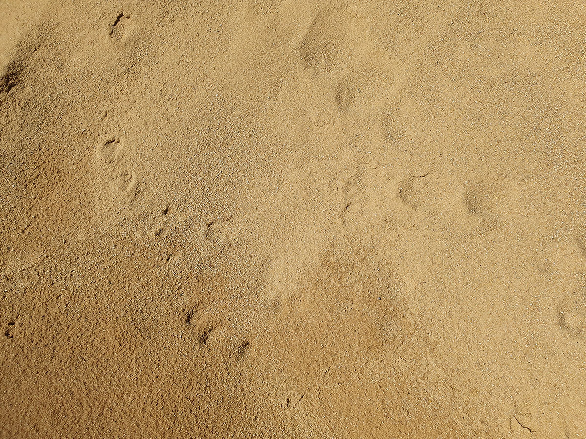SABLE 0/2